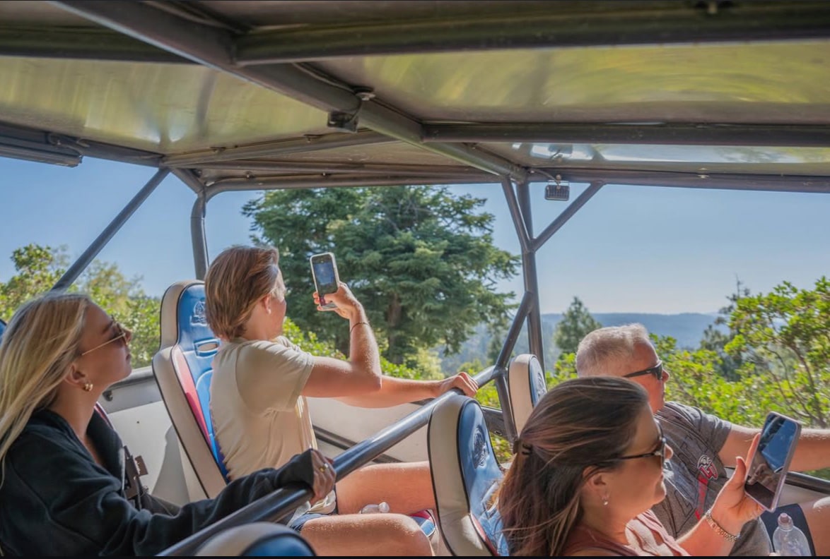 5 jeeps on Holcomb Valley Trail